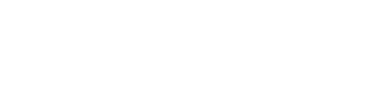 Revolut_Logo_17_11zon